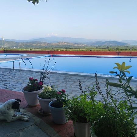 Περι Ανεμων Hotell Zervi Exteriör bild